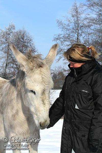 Pferdepension Jaeger Séjour à la ferme *