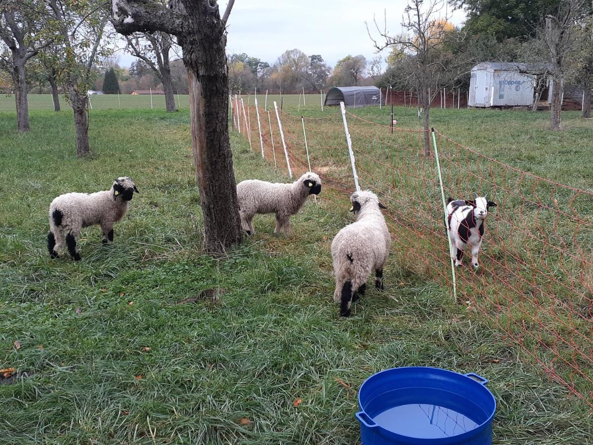 Séjour à la ferme Pferdepension Jaeger *