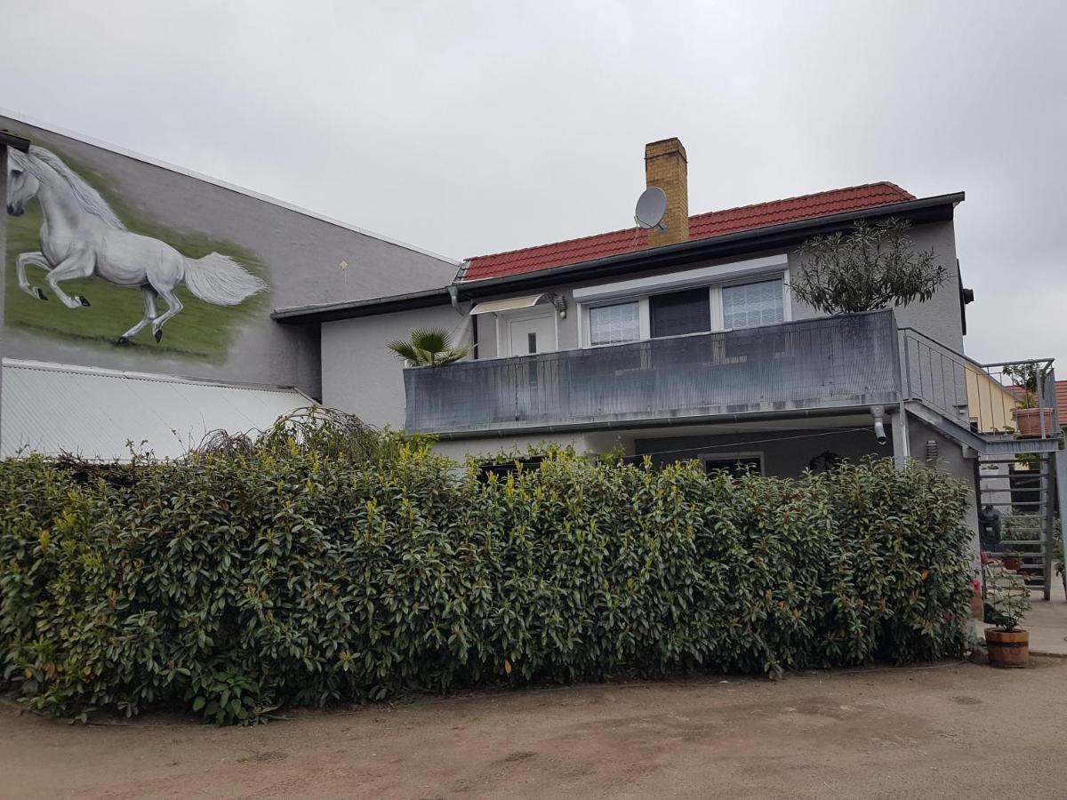Pferdepension Jaeger Vakantieboerderij Markranstädt