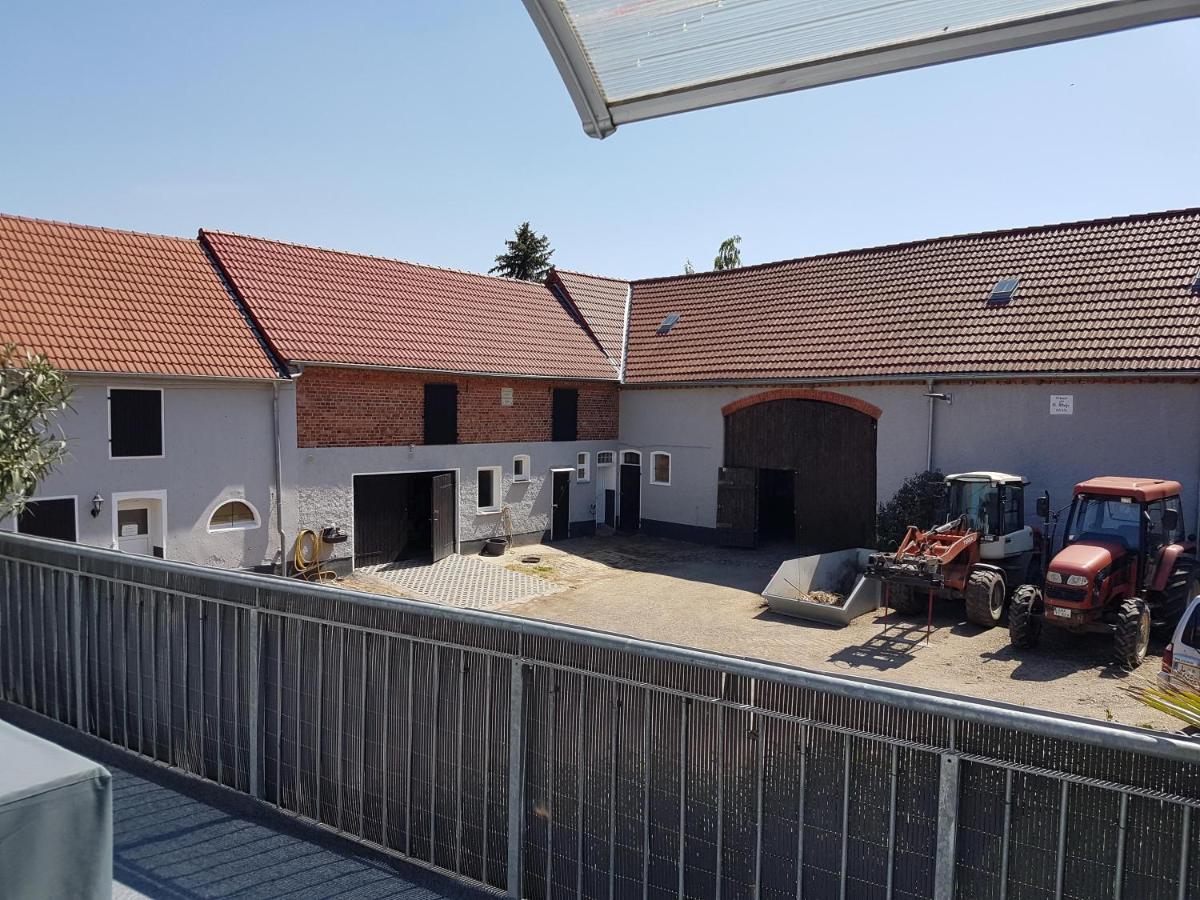 Pferdepension Jaeger Vakantieboerderij *