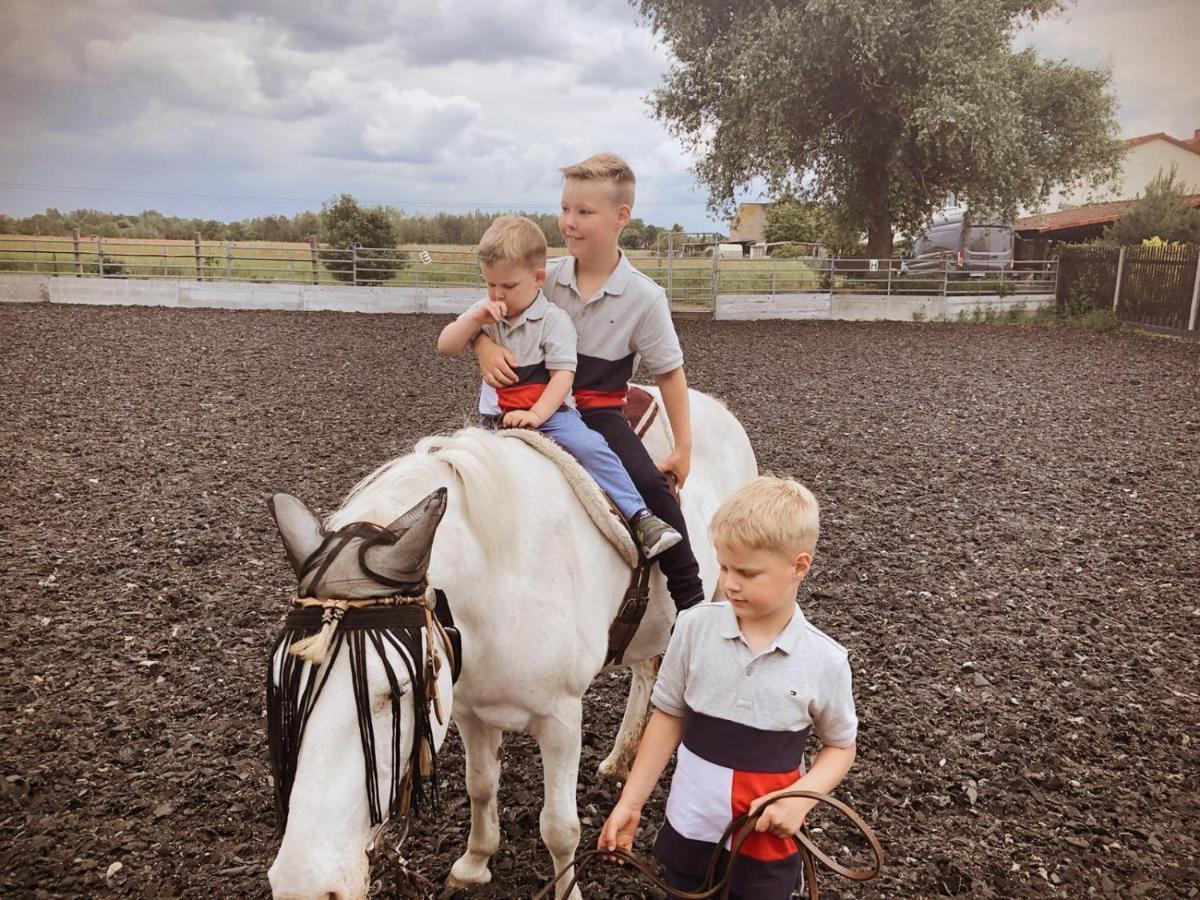 Pferdepension Jaeger Vakantieboerderij