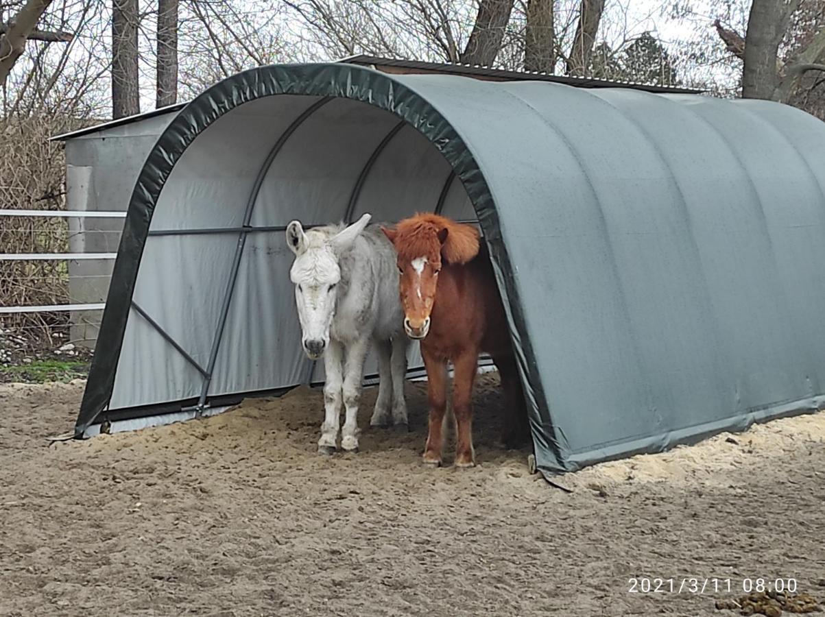 Pferdepension Jaeger Vakantieboerderij